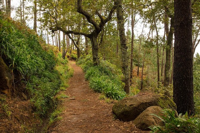 SANTANA Combo Expedition (Jeep & Levada Walk) - Shared Tour - Why this combo works for a first day outside Funchal