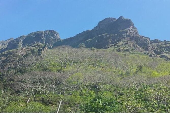 Scenic Route - Nuns Valley Tour - Curral das Freiras explains the name Nuns Valley