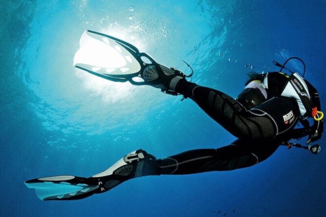 Scuba Diving Experience for Beginners in Ponta de São Lourenço - A first underwater lesson at Ponta de São Lourenço