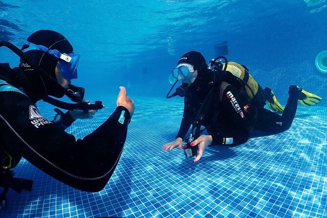 Scuba Diving Experience for Beginners in Ponta de São Lourenço - What your two and a half hours look like