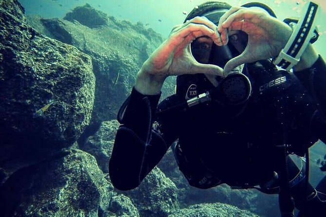 Scuba Diving Experience in Madeira - Weather, timing, and the no-fly rule