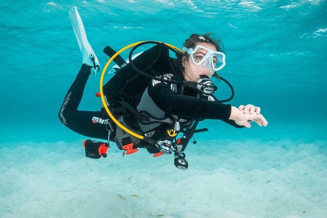 Scuba Diving Experience in Madeira - Entering the Atlantic at a gentle pace