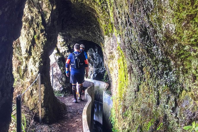 Sea 2 Mountain Running Tour (Moderate-Hard) - Is $78.27 good value?