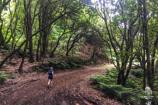 Sea 2 Mountain Running Tour (Moderate-Hard) - Vereda do Larano and the northeast coast