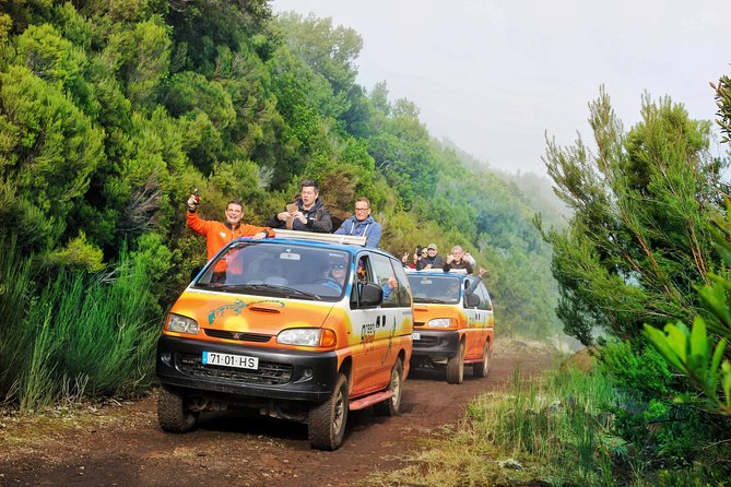 Sea Cliff & mountains Private 4x4 tour - Cabo Girao gives you the big Madeira view