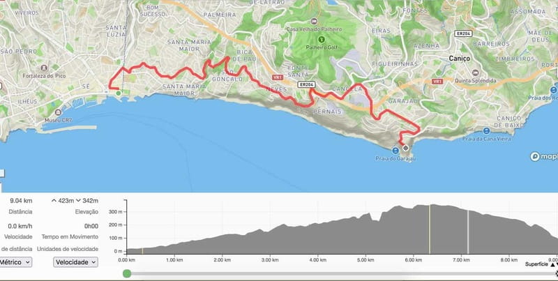 "Self-Guided" E-Bike Road Tour from Funchal to Garajau - From Funchal toward Ponta do Garajau
