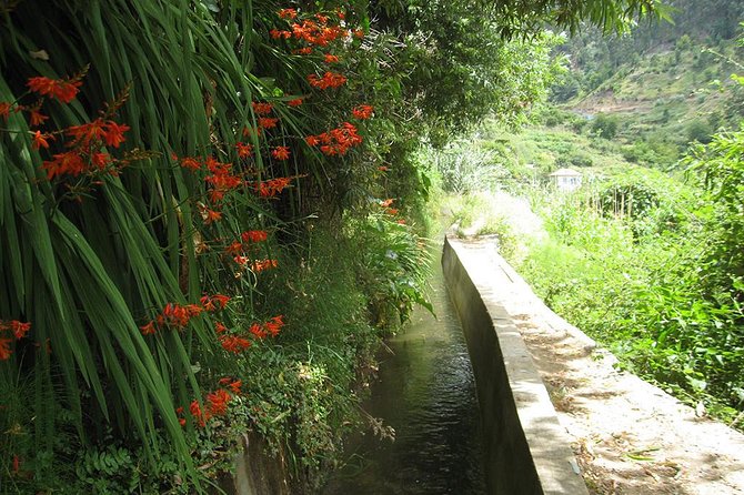 Serra D'Água Valley - Levada Walk - Price, timing, and what the $39.65 covers