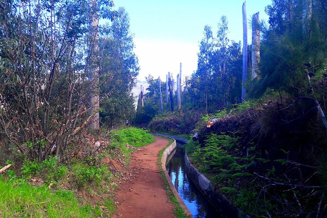 Serra D'Água Valley - Levada Walk - Who will get the most from this walk