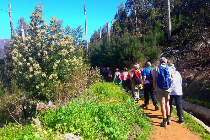 Serra D'Água Valley - Levada Walk - Walking the 5 km through Serra D’Água