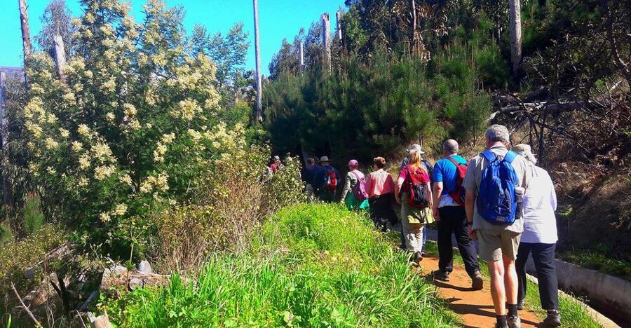 Serra de Água Valley Levada Walk - The minibus ride into the central valley