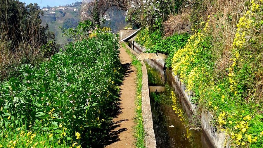 Serra de Água Valley Levada Walk - The levada’s practical story