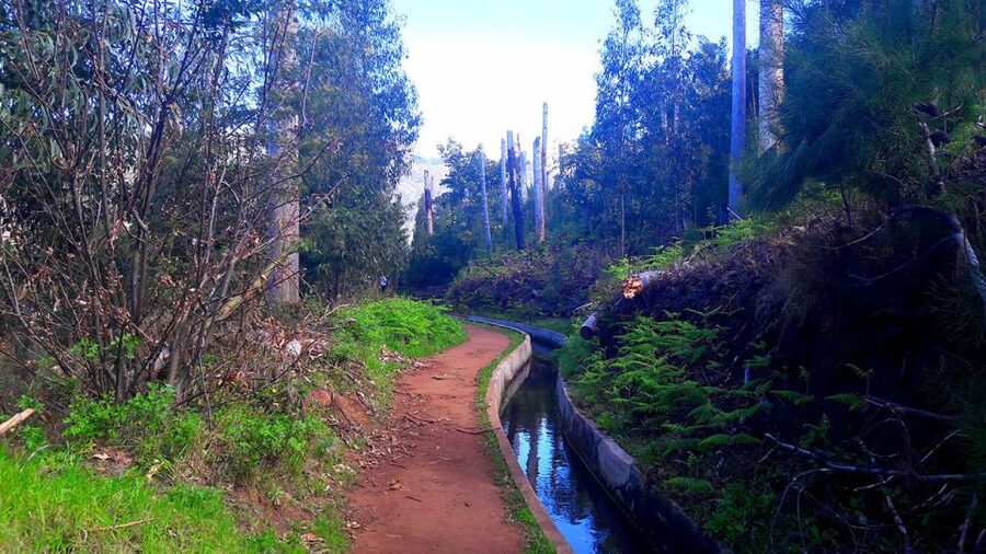 Serra de Água Valley Levada Walk - Reaching the cafe after roughly two hours of walking