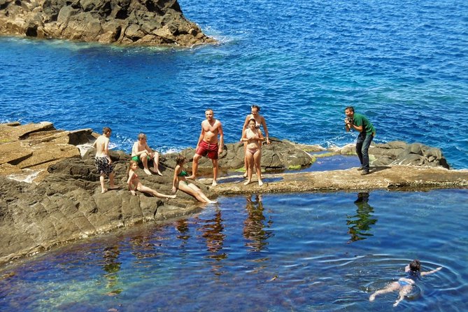 Shore Excursion Porto Moniz - Enchanted Terraces 4x4 tour - Fanal Forest, with just 20 minutes to look around