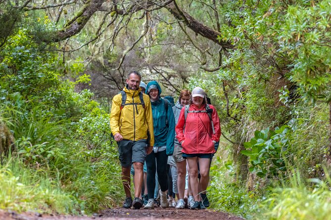 Skywalk 4x4 Experience and Rabacal 25 Fountains Levada Walk - The 25 Fontes walk, waterfalls, and levadas
