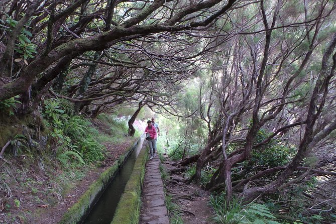 Skywalk 4x4 Experience and Rabacal 25 Fountains Levada Walk - Timing matters on the Rabaçal trail