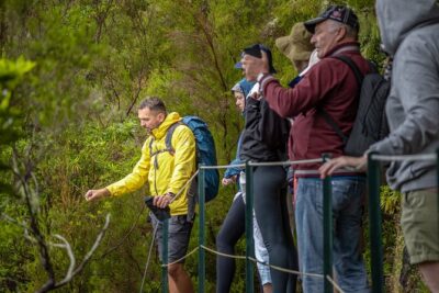 Skywalk 4×4 Experience and Rabacal 25 Fountains Levada Walk