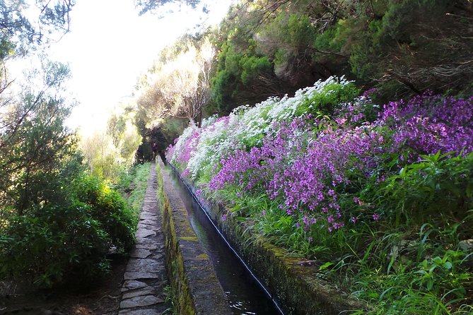Skywalk 4x4 Experience and Rabacal 25 Fountains Levada Walk - Riding the 4x4 through Madeira’s west