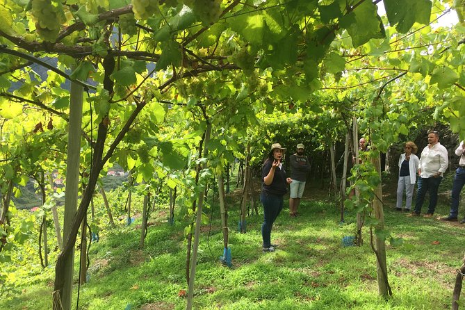 Skywalk with Wines Tasting and Vineyards Half day 4x4 Adventure - The 4x4 climb through Madeira’s hills