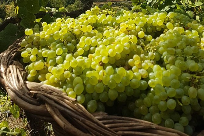 Skywalk with Wines Tasting and Vineyards Half day 4x4 Adventure - How the price compares with the experience