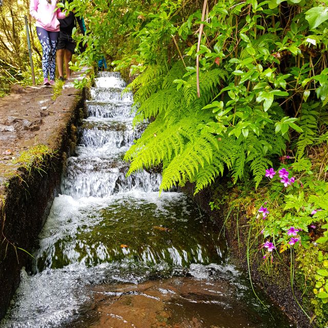 Small Group Walks Rabaçal 25 Fontes - The tunnel is part of the adventure