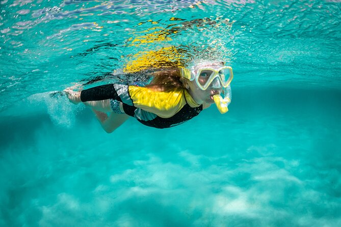 Snorkelling Trip at Ponta de São Lourenço Protected Area - Key points to know before booking