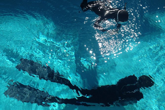 Snorkelling Trip at Ponta de São Lourenço Protected Area - From Quinta do Lorde Marina to the eastern cliffs