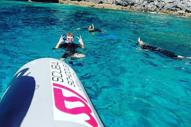 Snorkelling Trip at Ponta de São Lourenço Protected Area - What the $42.24 price really covers