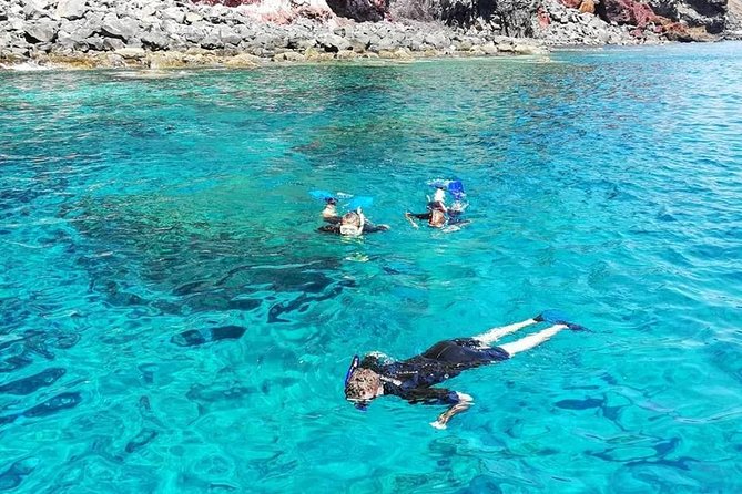 Snorkelling Trip at Ponta de São Lourenço Protected Area - The guide team is a major part of the experience