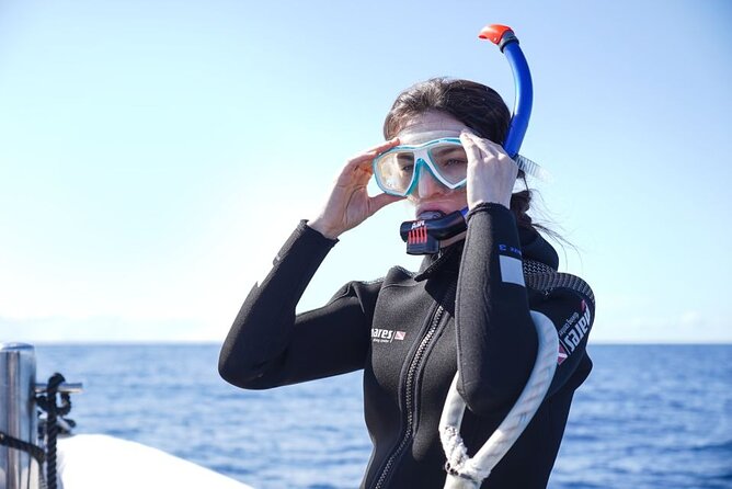 Snorkelling Trip at Ponta de São Lourenço Protected Area - Who should book this Ponta de São Lourenço trip?