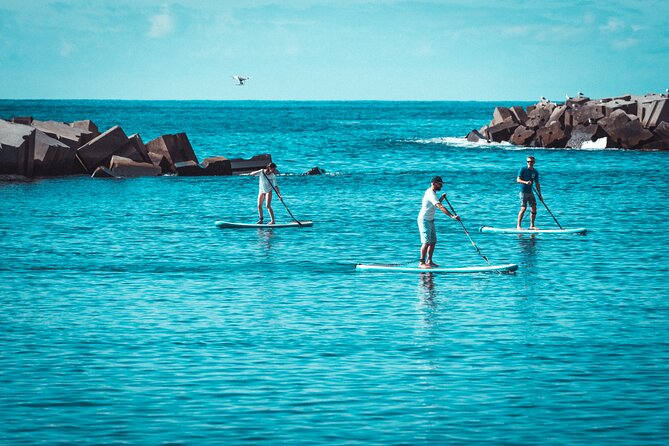 Stand Up Paddle Private Lesson in Calheta Beach - What the one-hour timing means