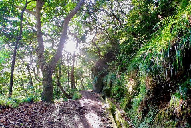 Sunrise Tour @ Pico Do Areiro | Half Day 4x4 Tour - The Balcões levada walk brings a quieter second act
