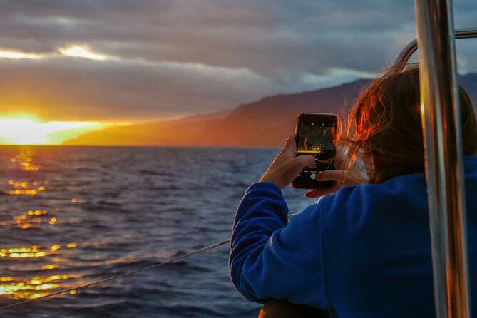 Sunset Catamaran Tour l Madeira Island - Key points to know before you sail