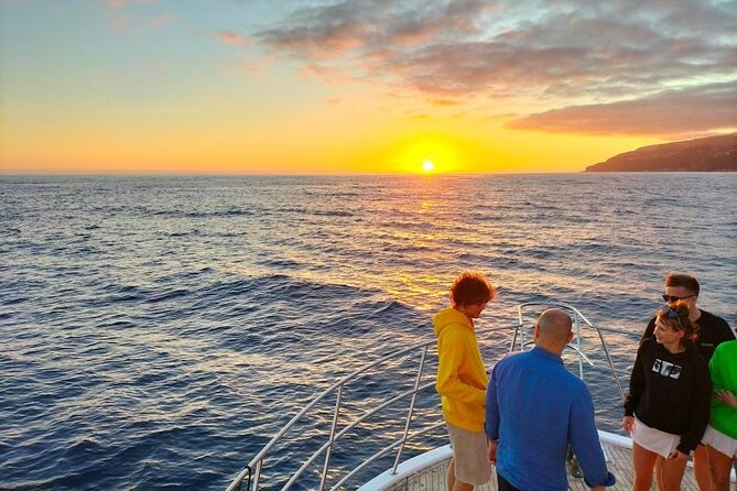 Sunset Cruise with Dinner on Board - Setting out from Funchal at 6:30 pm
