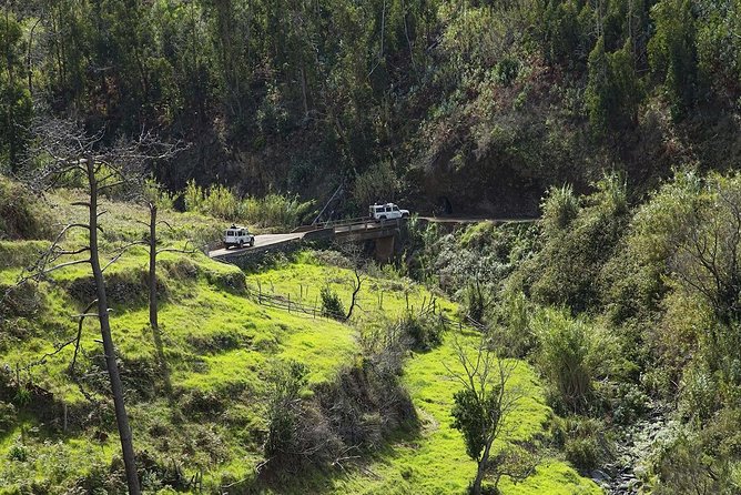 The Best of the South - Jeep Safari - Full Day - Shared Tour - A full day on Madeira’s steep southern side