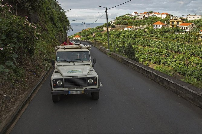 The Best of the South - Jeep Safari - Full Day - Shared Tour - Paul do Mar, lunch, and local character