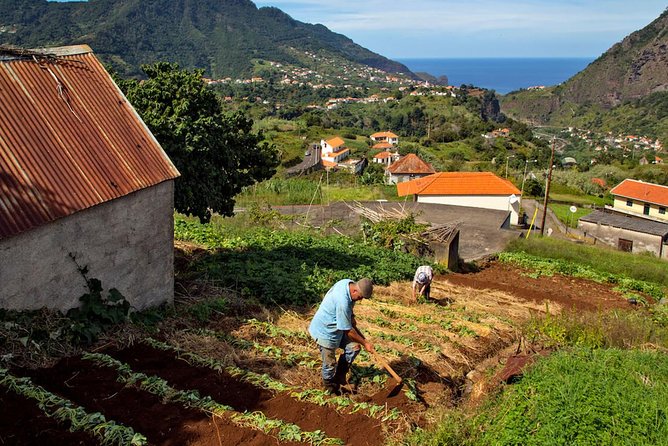 The Best of the South - Jeep Safari - Full Day - Shared Tour - Bananas, sugar cane, and Madeira’s working island