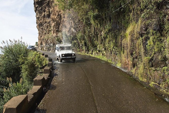 The Best of the South - Jeep Safari - Full Day - Shared Tour - The 4x4 trail through exotic forest