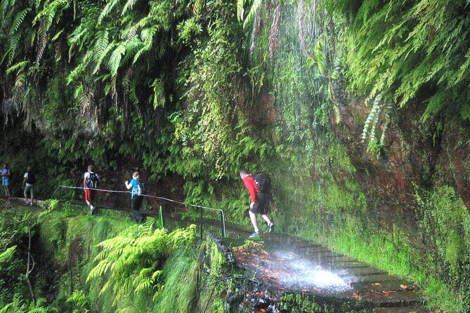 The King's Levada - Levada do Rei - Key points to know before booking