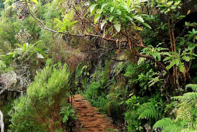 The Lakes Walk - Starting above Madeira at Paul da Serra