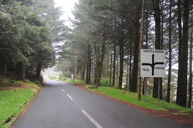 The ultimate tour (2 days) - Santana’s thatched houses and the longest stop of day one