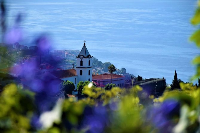 Tour - 8 Villages to the West - Câmara de Lobos: fishing boats close to Funchal