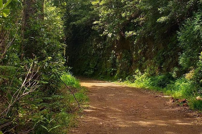 Traditional Sunday Market - Half Day Tour - 4x4 - Pico do Arieiro at 1,810 meters