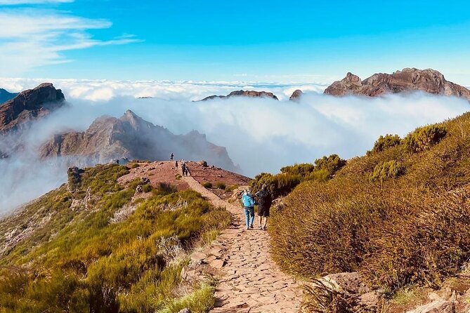 Transfer from Achada do Teixeira to Pico do Arieiro - Communication that makes the arrangement easier
