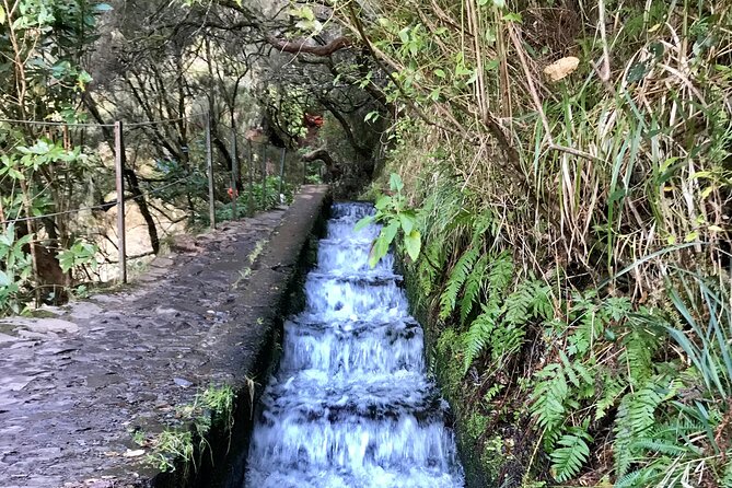 Twenty-Five Fountains Levada walks (private) - Preparing for the 12 km walk