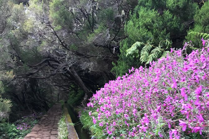 Twenty-Five Fountains Levada walks (private) - Who will enjoy this experience most
