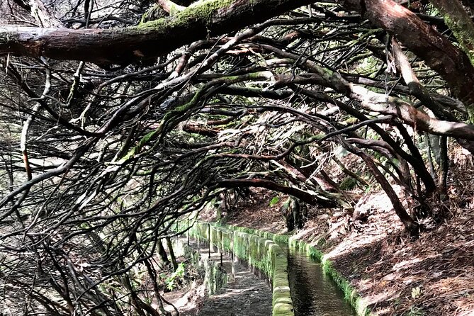 Twenty-Five Fountains Levada walks (private) - Booking, cancellation, and weather details