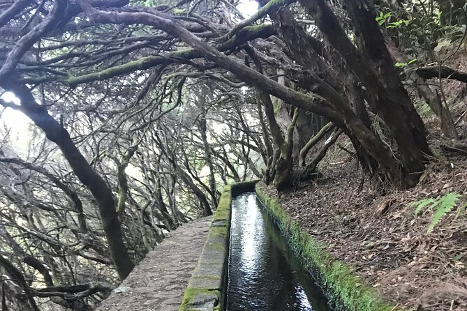 Twenty-Five Fountains Levada walks (private) - Reaching 25 Fontes and Risco Waterfall