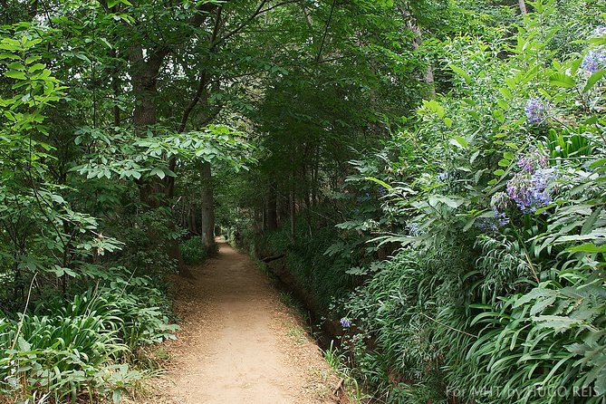 Vale Paraiso - Paradise Valley Walk - Starting at Caminho do Rochão