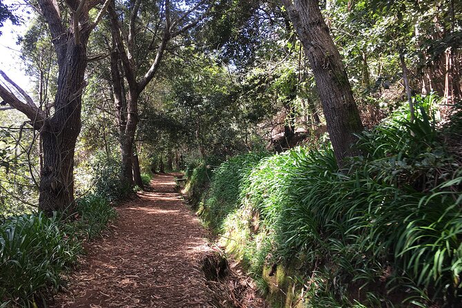 Vale Paraiso - Paradise Valley Walk - Guides Who Add Local Meaning