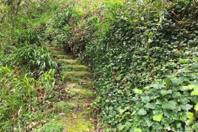 Vale Paraiso – Paradise Valley Walk